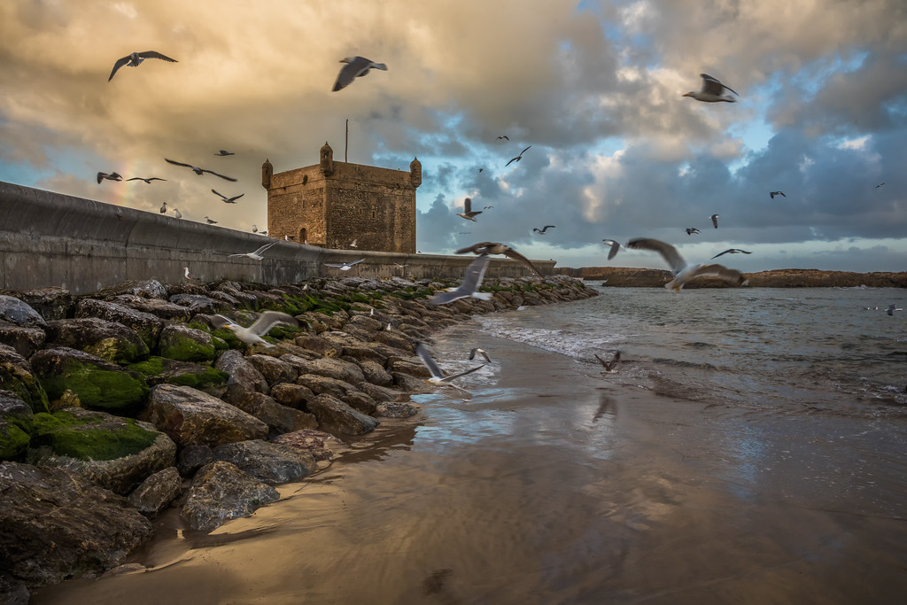 14 Days Tour From Agadir To Casablanca