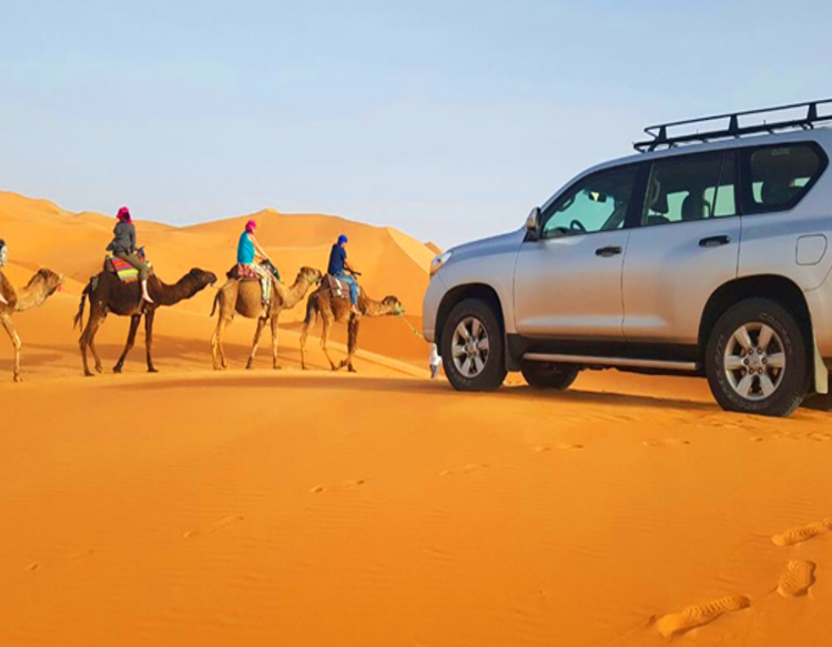 sahara desert hiking by foot & jeep tour