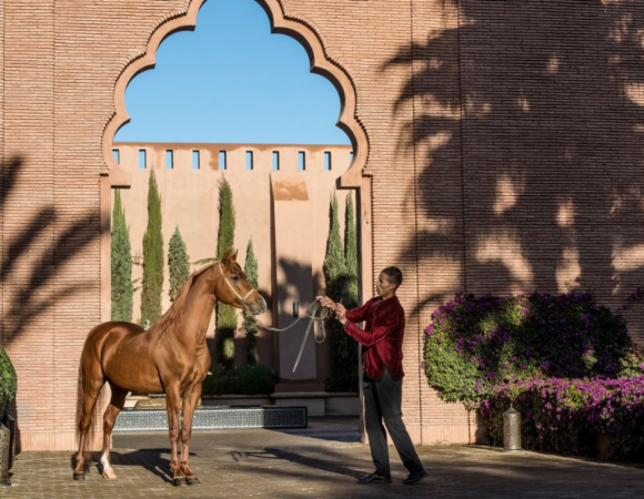 Marrakech Travel Guide: Tips, the Best Restaurants, and the Best Things to Do in Marrakech
